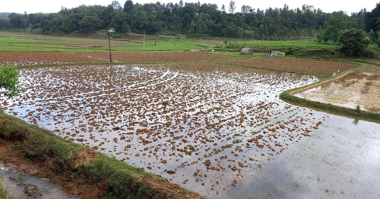 Coorg Coffee Park Farmstay Somvarpet Экстерьер фото