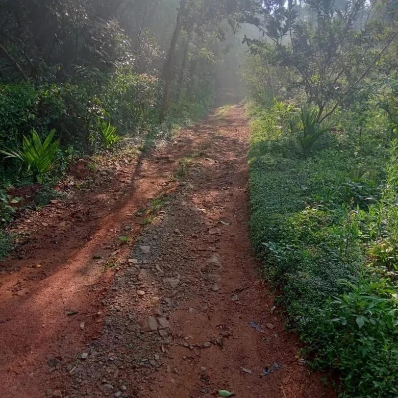 Coorg Coffee Park Farmstay Somvarpet Экстерьер фото