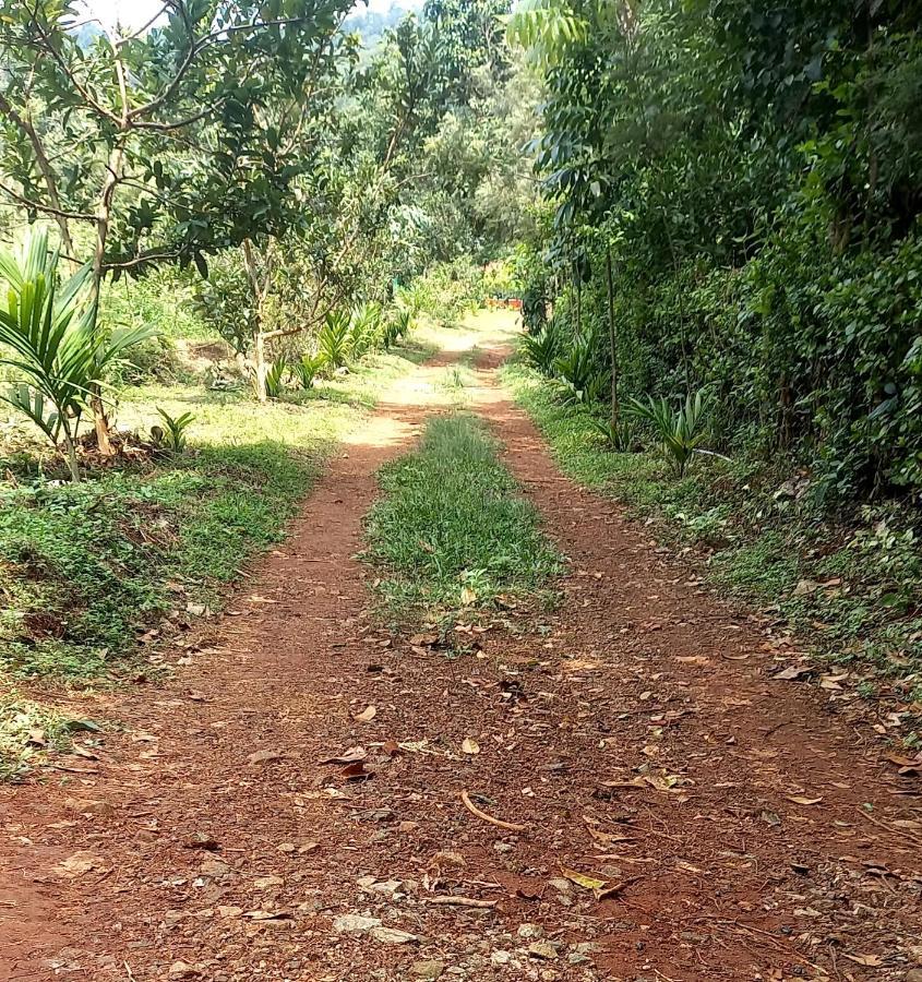 Coorg Coffee Park Farmstay Somvarpet Экстерьер фото