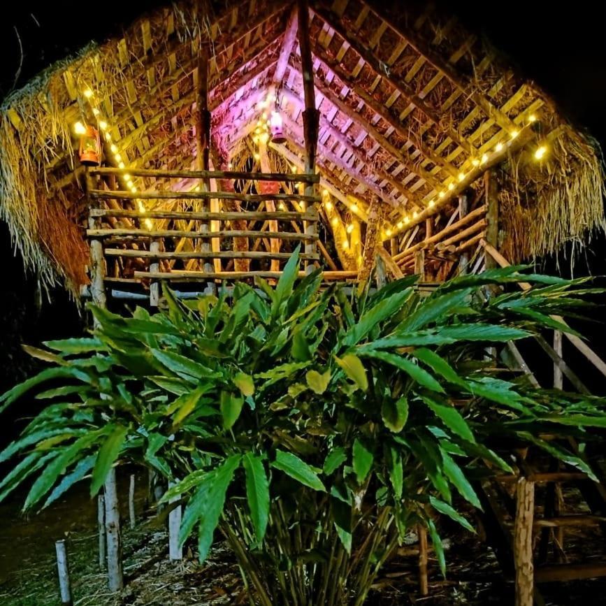 Coorg Coffee Park Farmstay Somvarpet Экстерьер фото