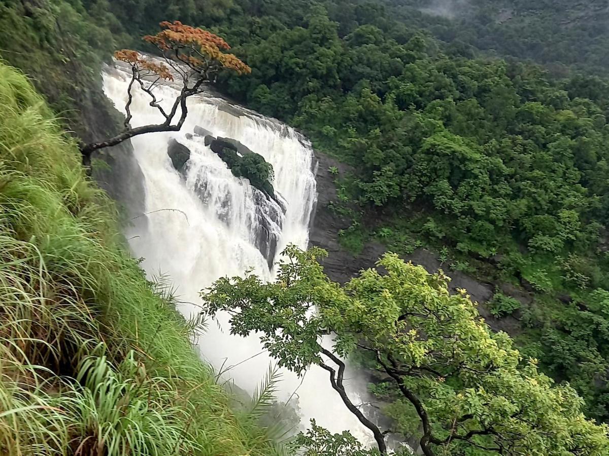Coorg Coffee Park Farmstay Somvarpet Экстерьер фото