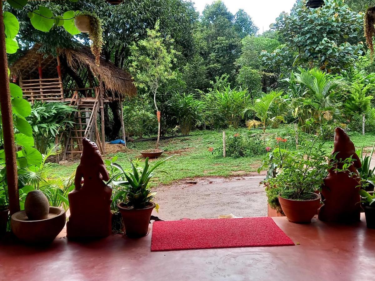 Coorg Coffee Park Farmstay Somvarpet Экстерьер фото