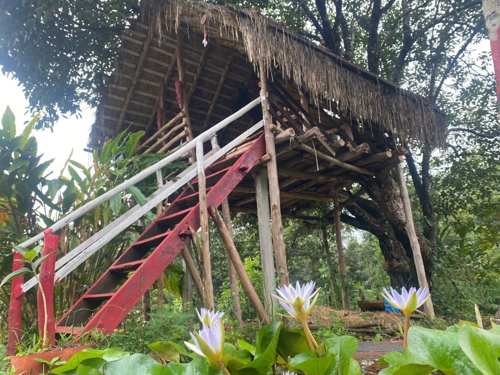 Coorg Coffee Park Farmstay Somvarpet Экстерьер фото